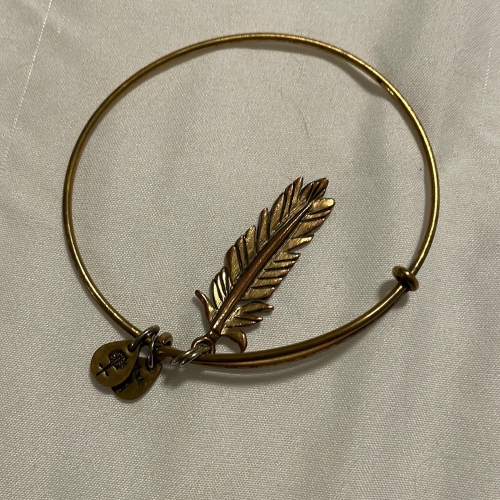 Alex and ani feather charm bracelet